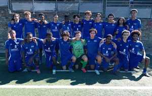 U19  D 1